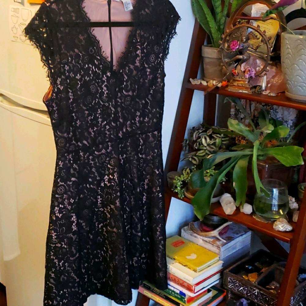 Cute Black Lace Cocktail Dress H&M